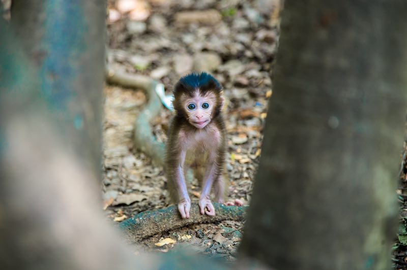 旅游指南手绘图片简单又好看,旅行攻略手绘图文大全简单又漂亮