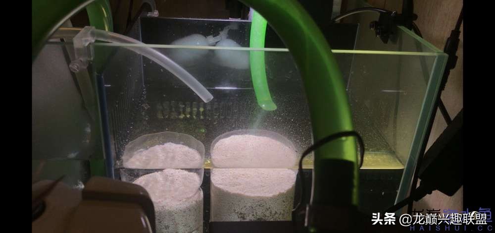 从零开始玩海缸的方法,从零开始玩海缸全过程