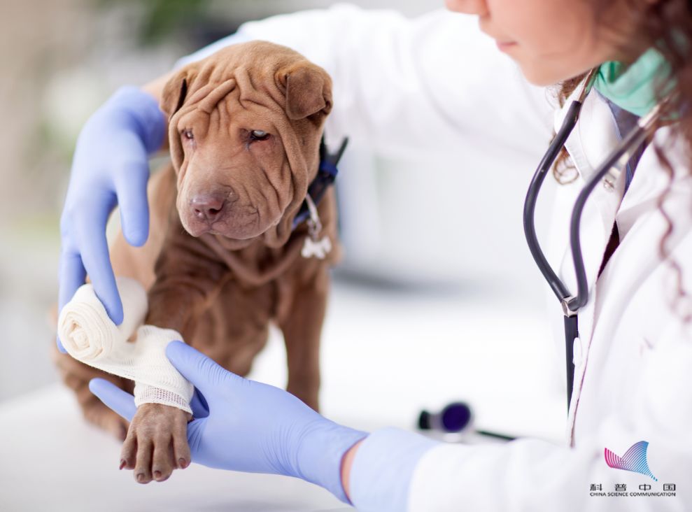 破伤风有几种都有什么区别,别大意破伤风预防的这几点误区