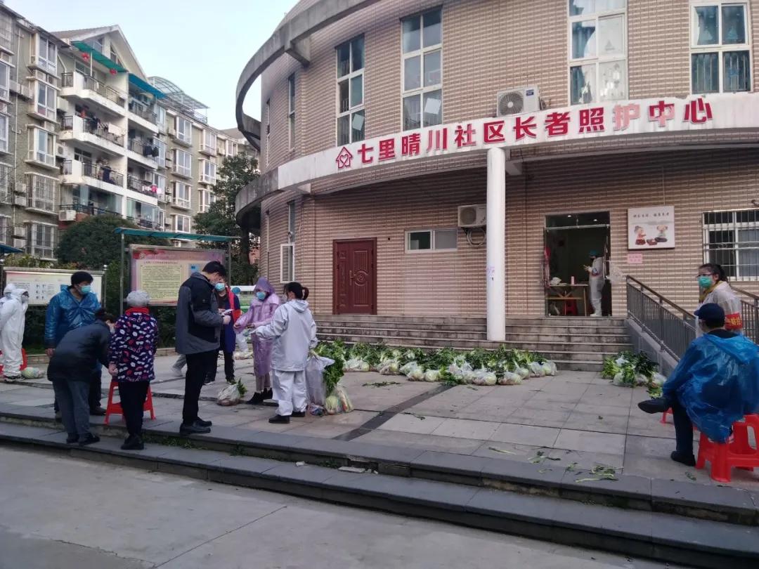 收到政府发放的爱心菜,政府领的爱心菜