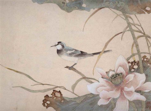 陈之佛工笔花鸟画技法解析,陈之佛花鸟画教程视频