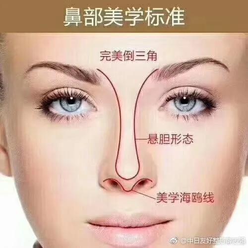 面部的美学曲线,面部艺术美学