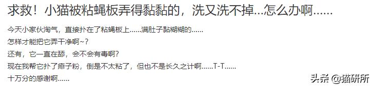 猫咪沾油怎么洗,如何洗猫咪粘毛的物品