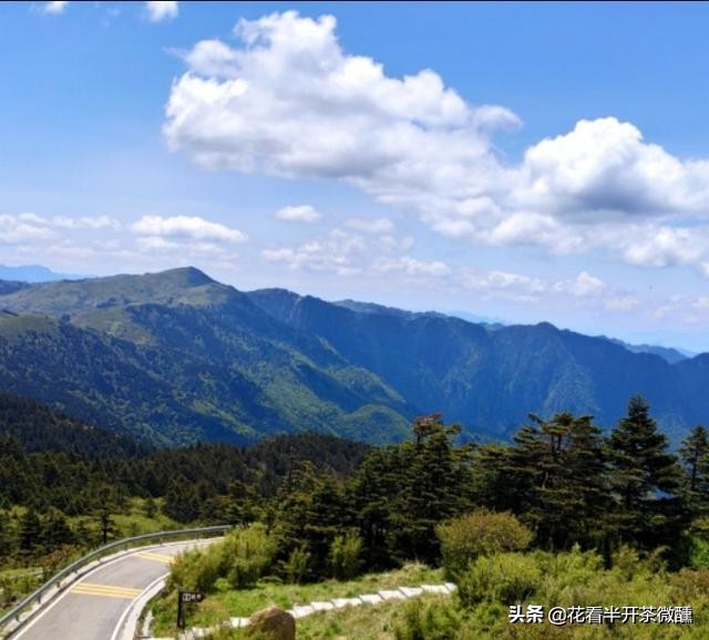 神农顶瞭望塔风景区,神农顶为什么叫华中第一哨