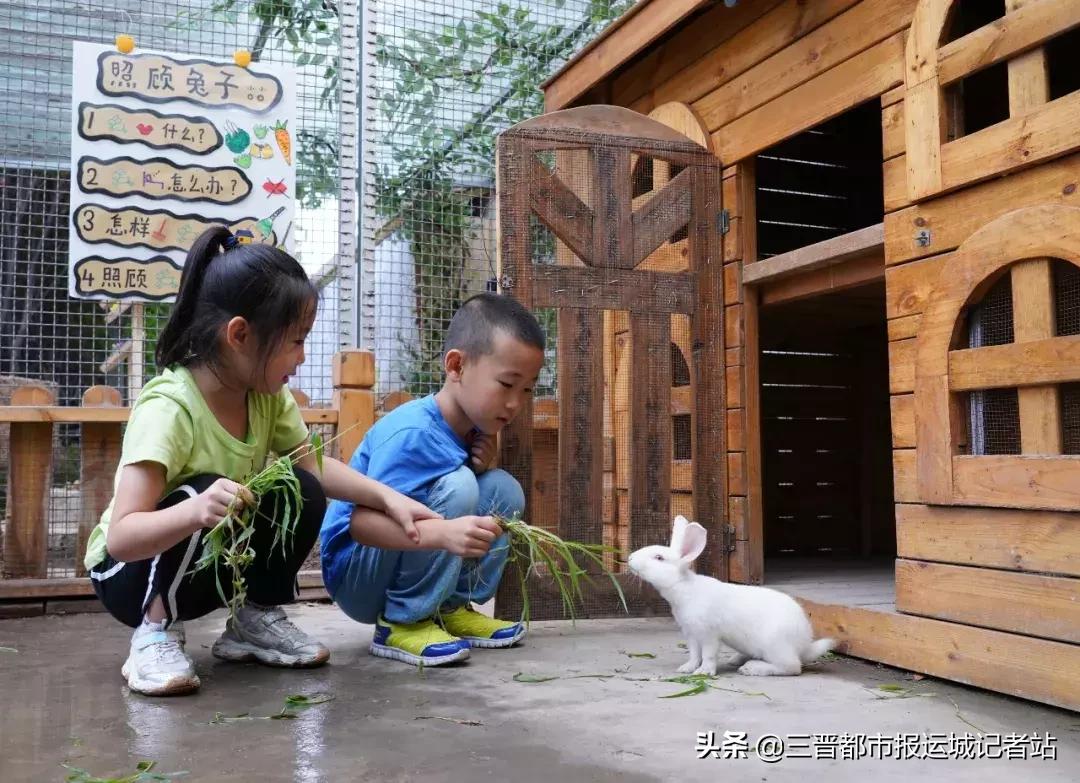 临猗县直一园东城分园,临猗县直一园最新消息