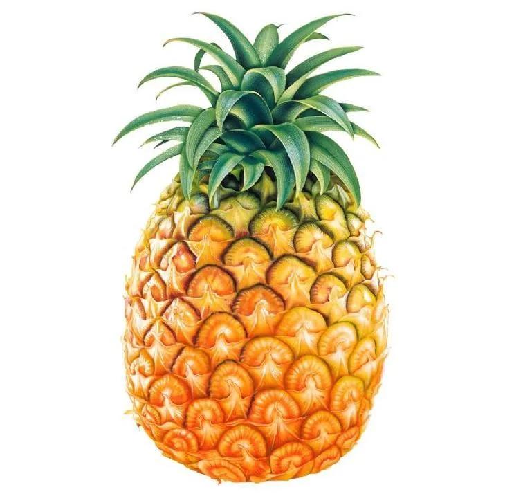 四季应季水果蔬菜,一年四季的时令蔬菜水果