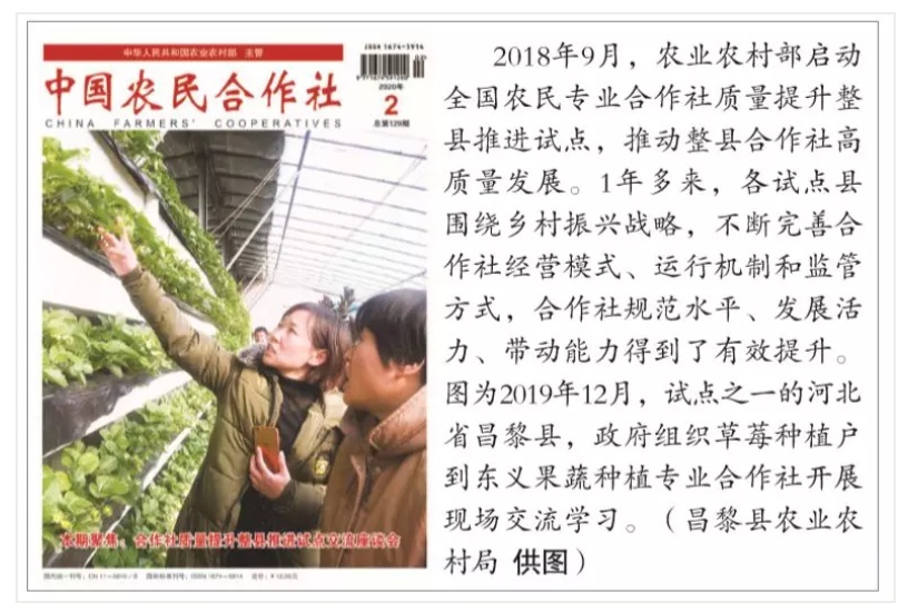 为果农服务的一支团队,为新农人服务