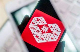 拼多多最新全店托管模式,拼多多电商创业新手建议囤货吗