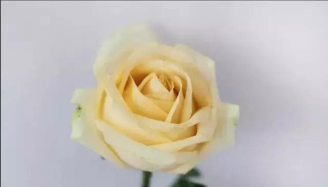 每天学习一点点女性小常识,每天学习一点点科普一下