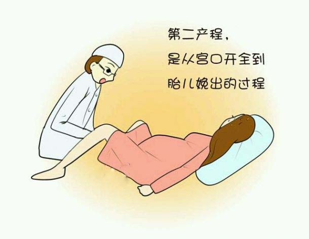 探究分子在不断运动,探究分子间的作用力实验