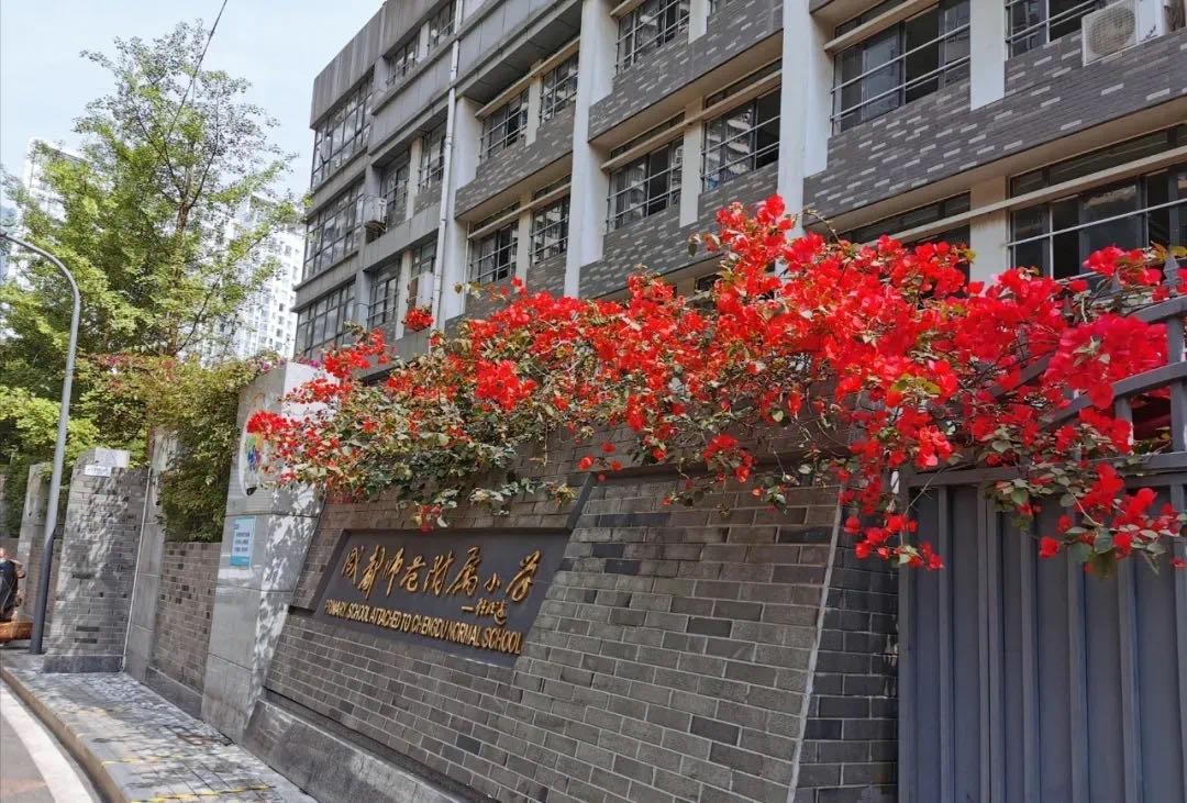 成都七中育才附属小学锦官驿校区,成都锦二区学区分布