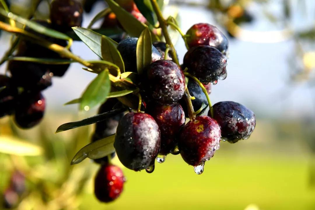 幸福武都,这就是幸福英文