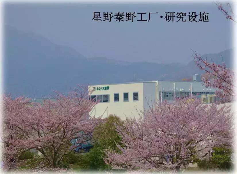 六国面包师的华山论剑,烘焙人最感兴趣的技术秘诀、开店运营