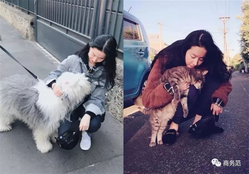 刘亦菲尚美头冠,刘亦菲黑色礼服戴皇冠迪奥