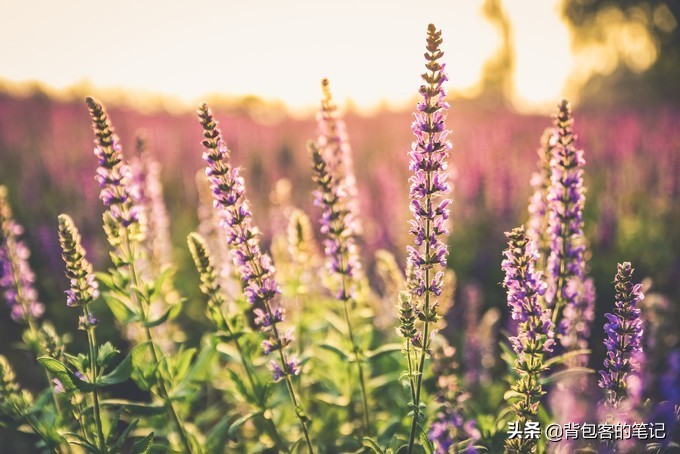 京津冀骑行网红打卡地,京津地区小众网红打卡地