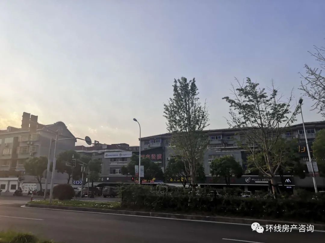 川沙值得买吗,川沙卖观赏鱼