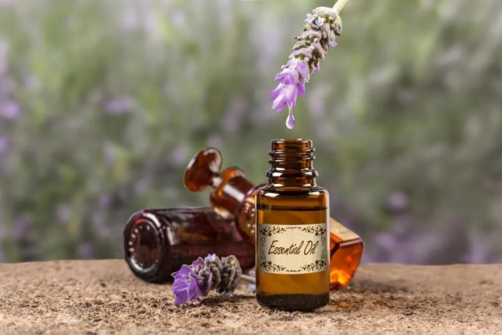 依兰精油的功效与作用,茶树精油的功效与作用