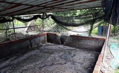 密封式猪舍臭气怎么消除,猪舍臭气