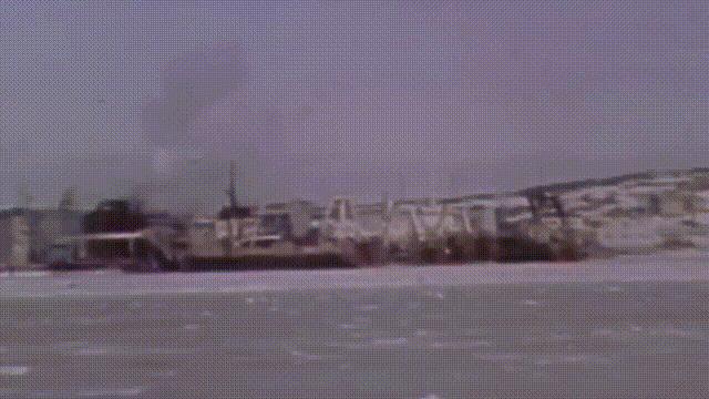 蛤、蚶、蛏、蚝、蚬有什么区别？这是一群美味海怪与人类的故事