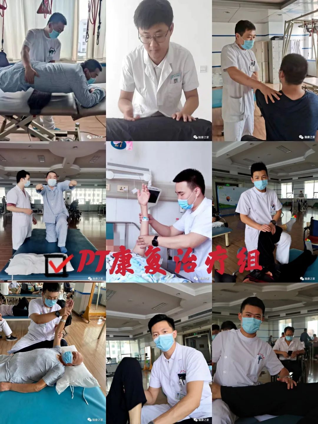 世界物理治疗大会,世界物理治疗师日有哪些活动