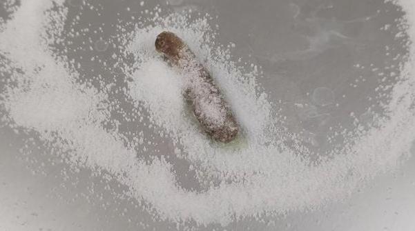 如果水蛭不小心吃掉了怎么办,误食活水蛭有什么危害