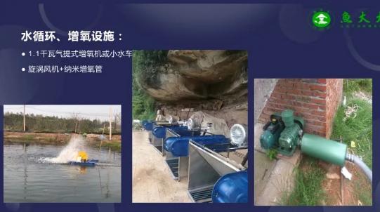 养鱼怎么增加存活率,科学养鱼的正确方法和思路