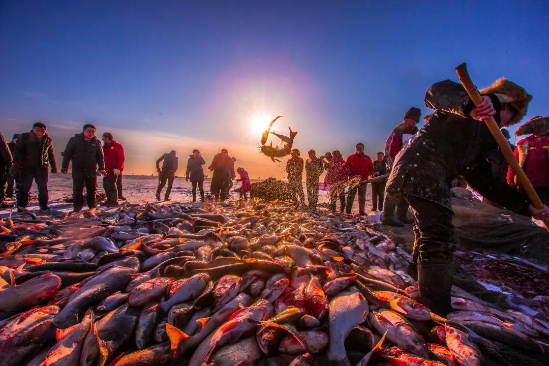 京哈高铁来了！3小时54分长春至北京！