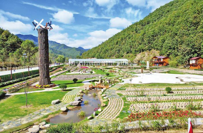 四个聚焦助力脱贫攻坚,脱贫攻坚一达标两不愁三保障