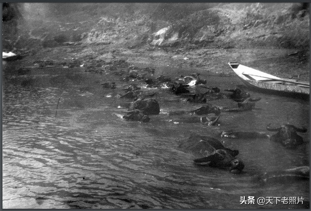 1987年福建福州老照片图文,福州古林寺老照片