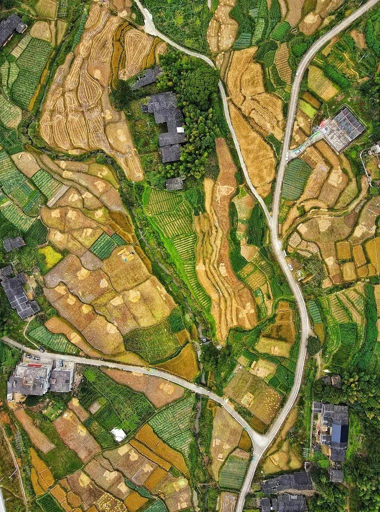 泉州话你真厉害,你真的太拼了英语