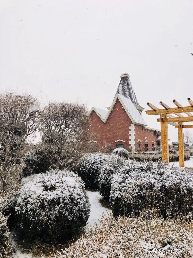 集结号里诗画情之一,瑞雪兆丰年