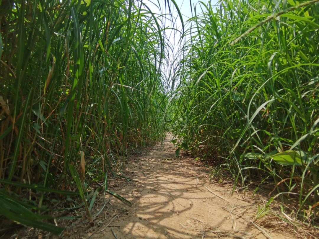 济南张家界自驾游路线推荐攻略,藏在济南市区的世外桃源