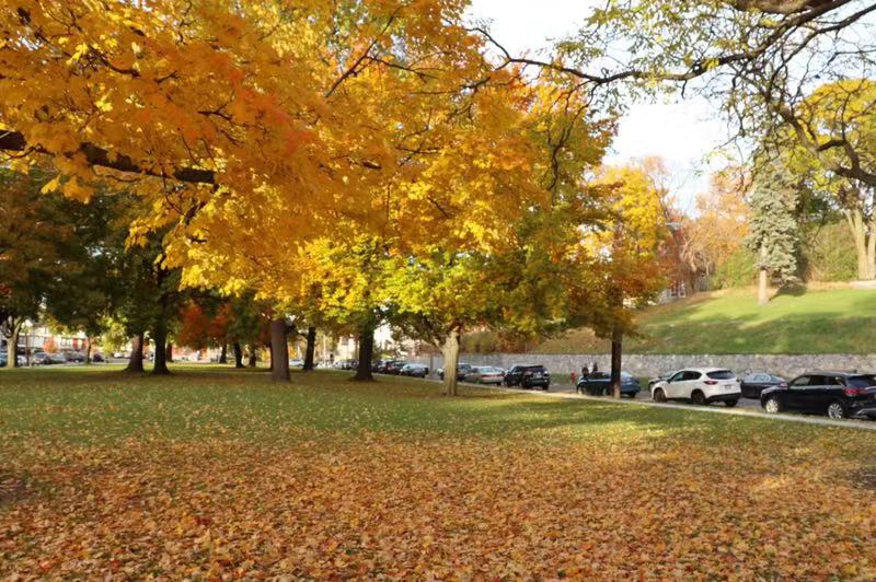 哈佛大学录取要求公布，看看中国学生想上哈佛，究竟有多难？