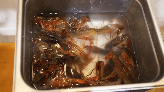 超声洗小龙虾,专业清洗小龙虾