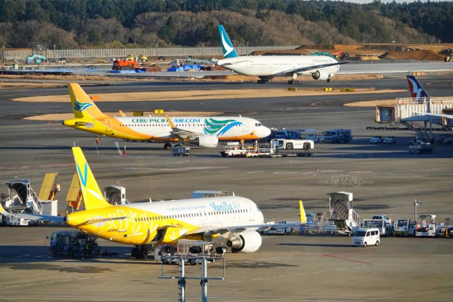 东京冬天附近游玩攻略,1月份的东京好去处