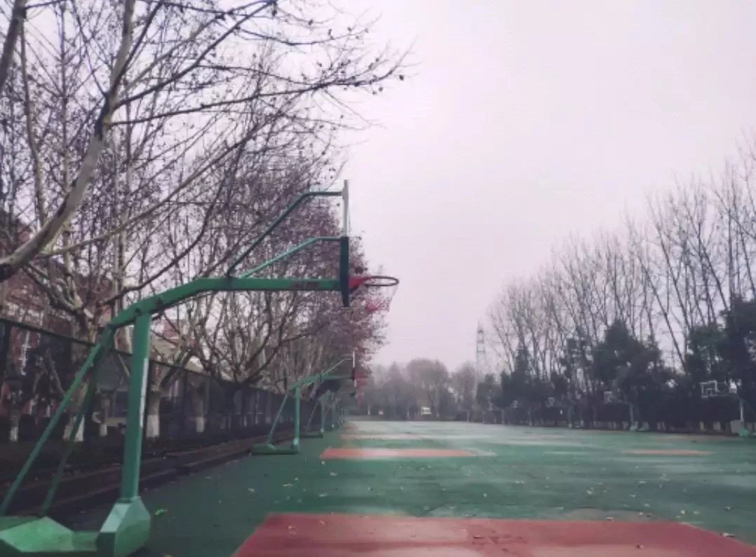 三江学院江苏专业,江苏三江学院录取分数线