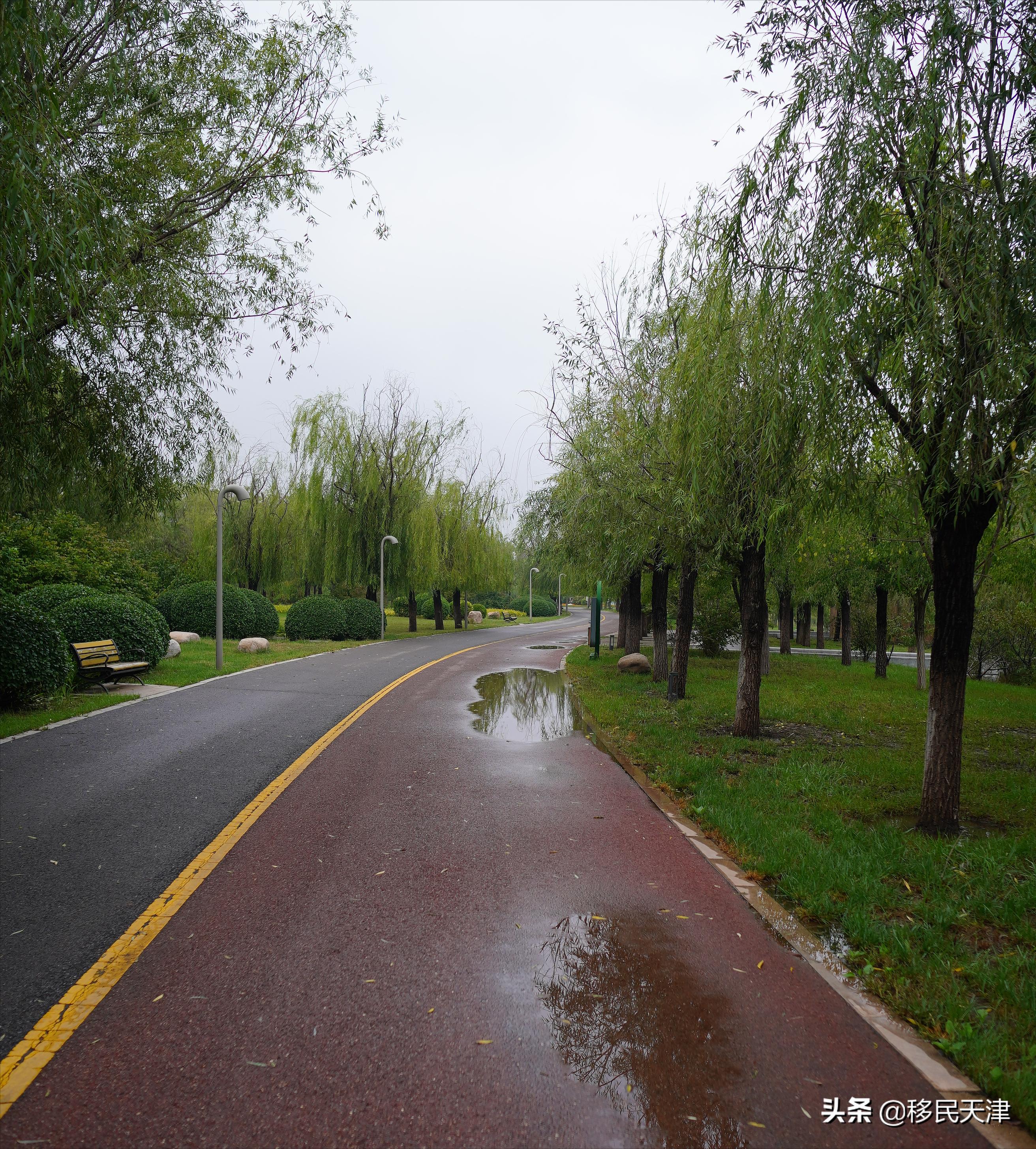 天津武清区最新买房政策,武清南湖房价下跌最惨一览表