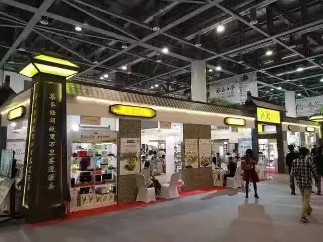 卓雅合唱,卓雅与玖姿