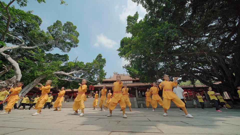 重返刺桐城历史,重古惜今