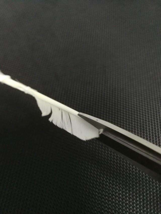 打开新世界之门,世界钓鱼之旅钓大鱼