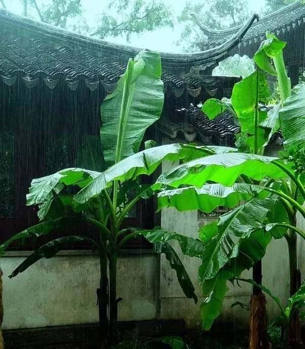 十首夏至诗词送你清凉一夏,夏至时节最美诗词与佳句