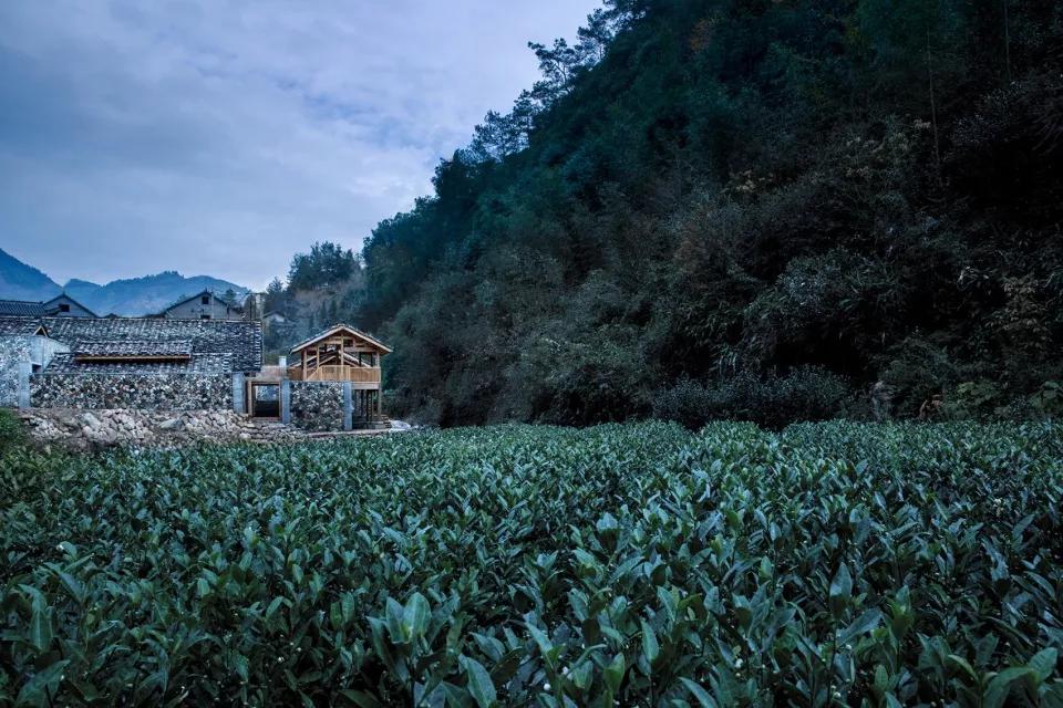 中国最美的乡村振兴村,乡村振兴示范点项目实施方案