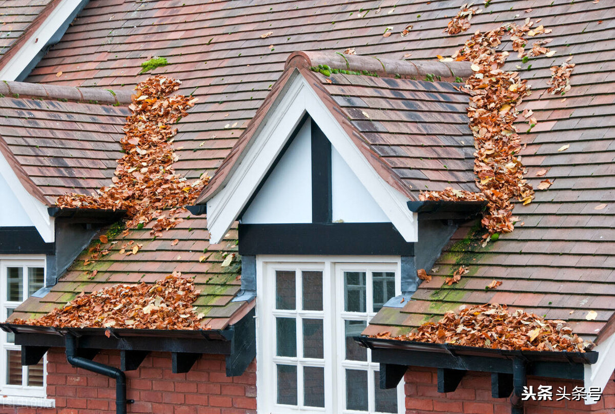 物业保洁员如何做到业主不投诉,小区物业叫保洁去收物业费对吗