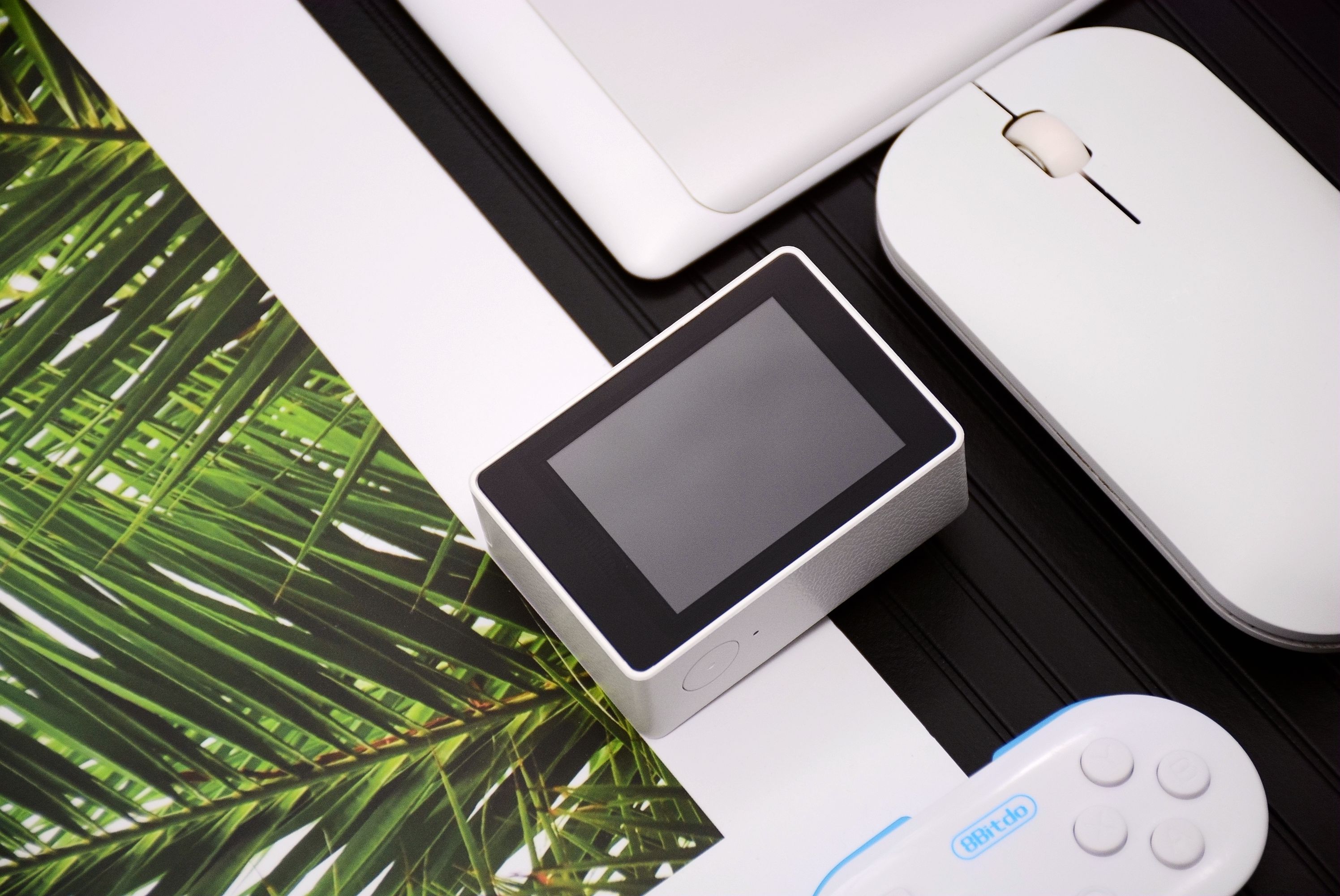 水下摄影4k,海鸟4k运动相机深度评测