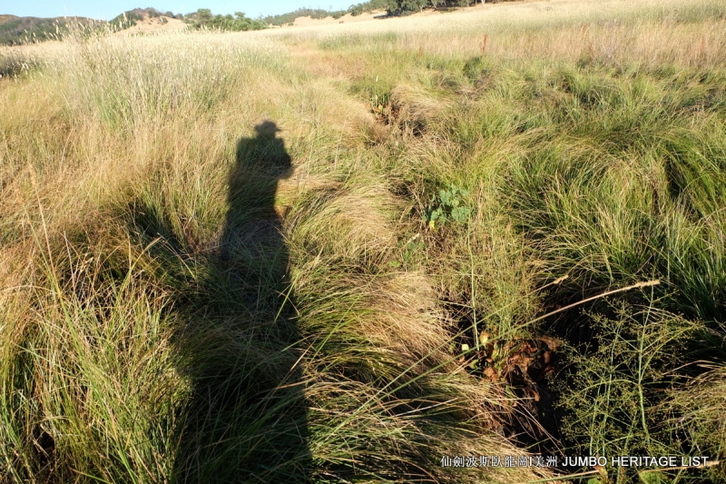 第3045回：人生一世草生一春，来如风雨去似微尘