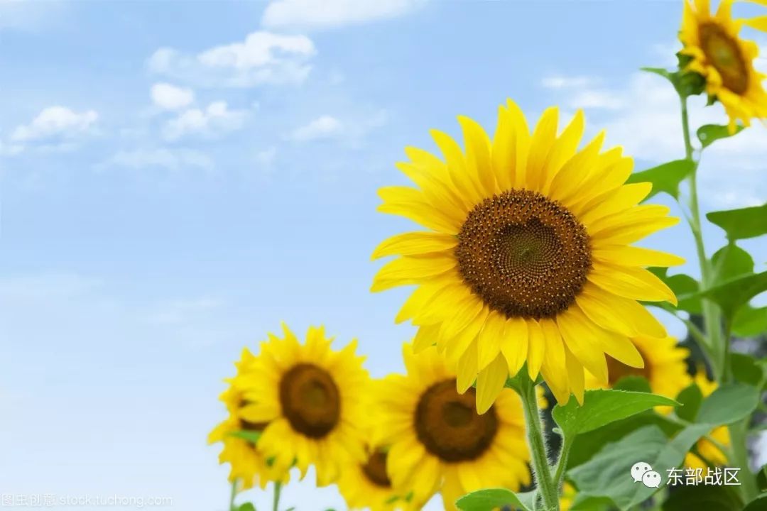 一封催人泪下的家书手写,一封家书感人完整版