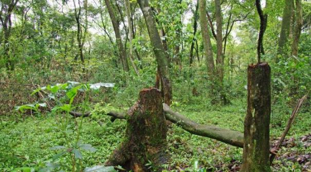 聋哑老人上山救了一条白蛇,白蛇带他去了一个湖边后却能开口说话