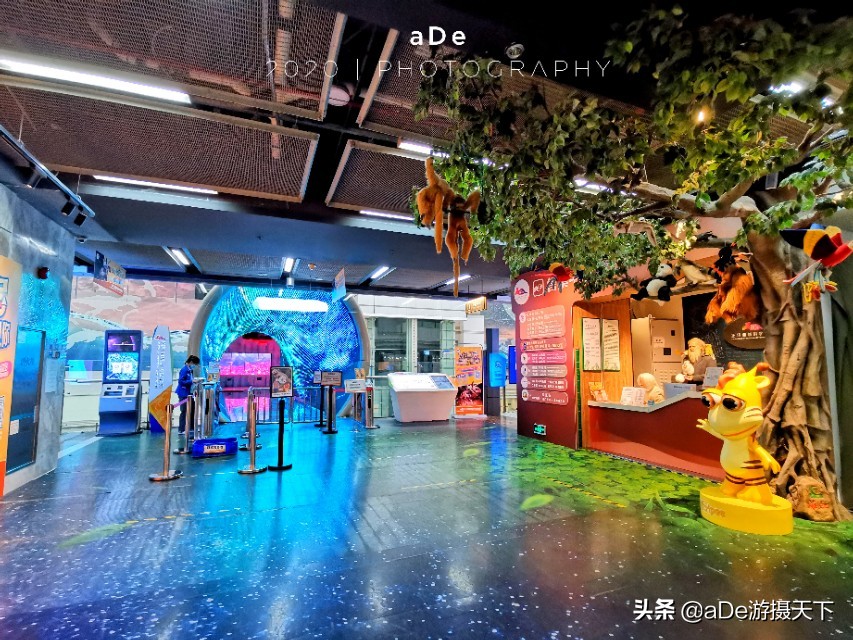 广州正佳广场哪个馆最值得玩,广州值得打卡的地方正佳广场