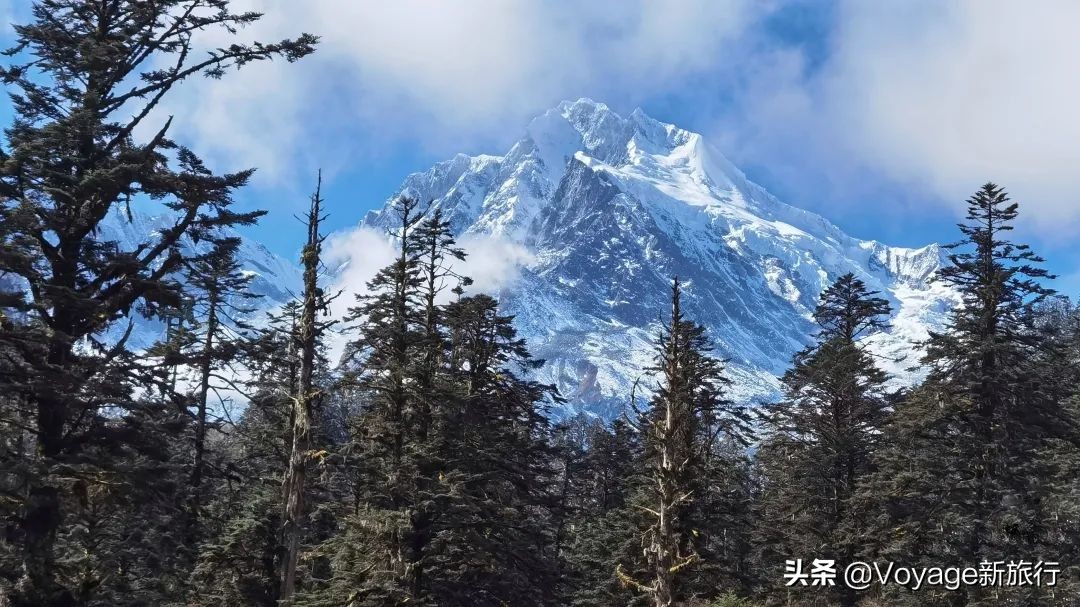 挑战21世纪最低温！我们为你盘点了比“泼水成冰”更美的冬日限定