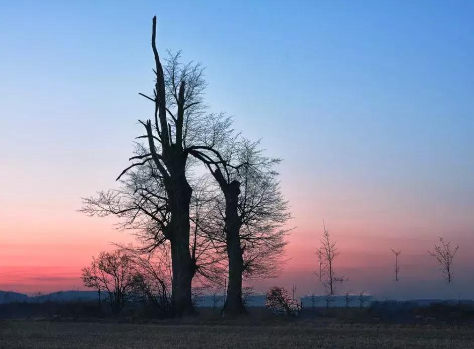 你只管善良福报已在路上下一句,你只管善良福报已在路上完整版